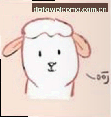 刘姐